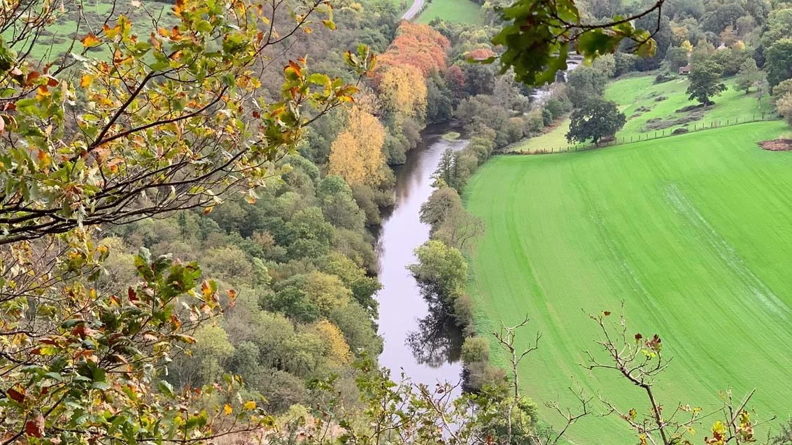 Protection des riverains : ZNT aquatiques et DVP