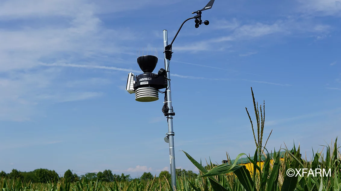 Météo : les conditions d’applications